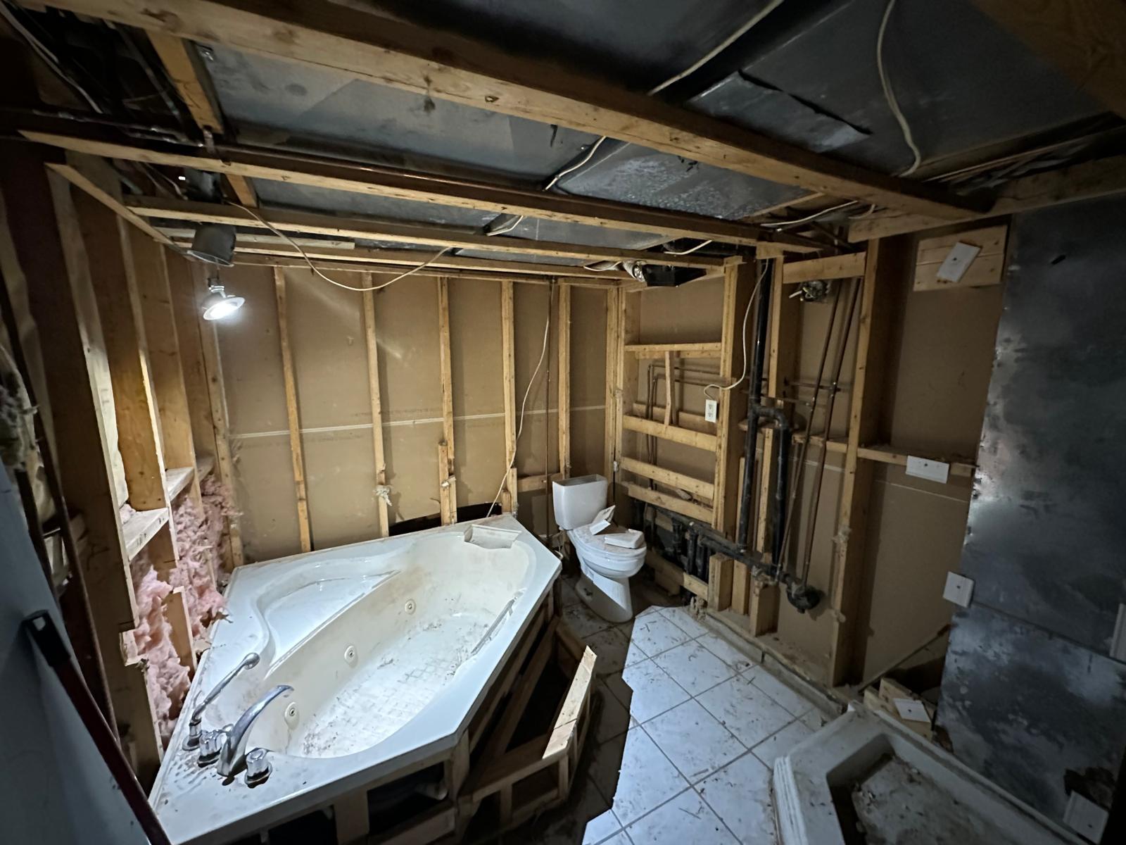 Bathroom reno before